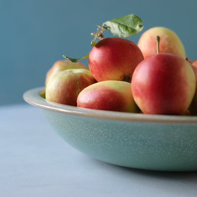 Fruit Bowl (1310) Louis Mulcahy Pottery